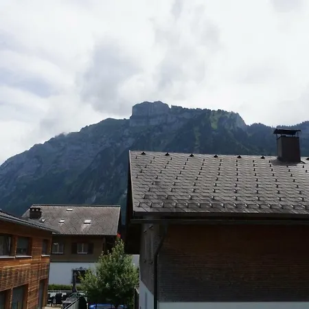 Apartment Haus Edeltraud Mellau