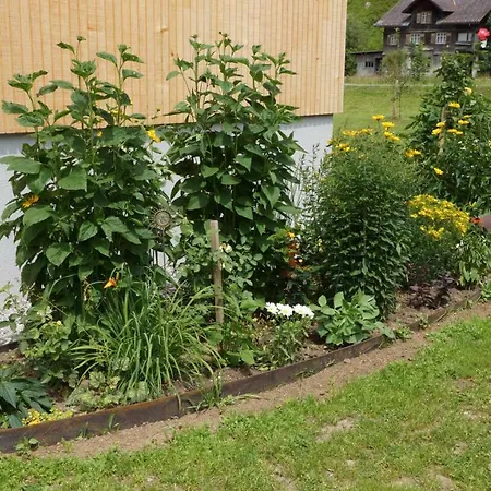Haus Edeltraud Lägenhet Mellau