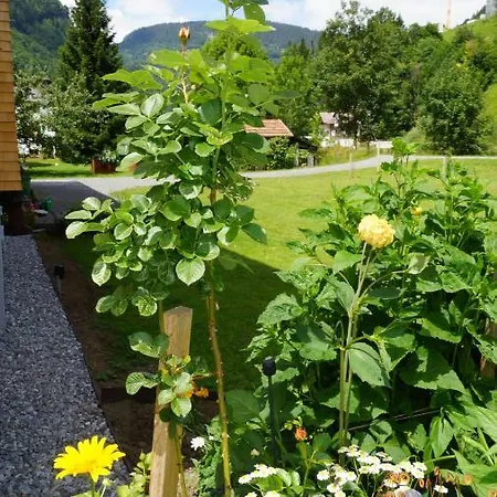 Haus Edeltraud Mellau