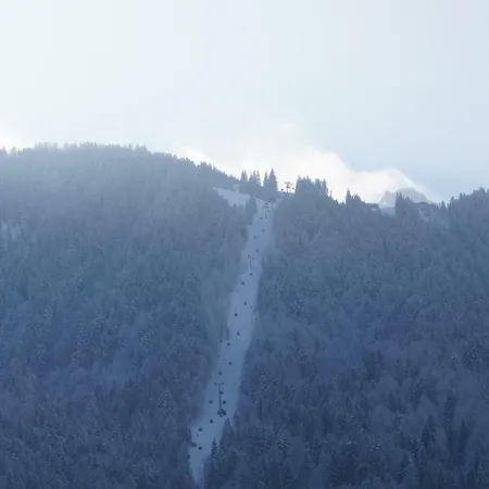 Haus Edeltraud Mellau