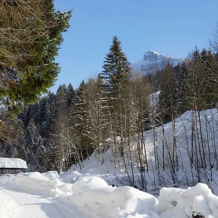 Haus Edeltraud Appartement Mellau