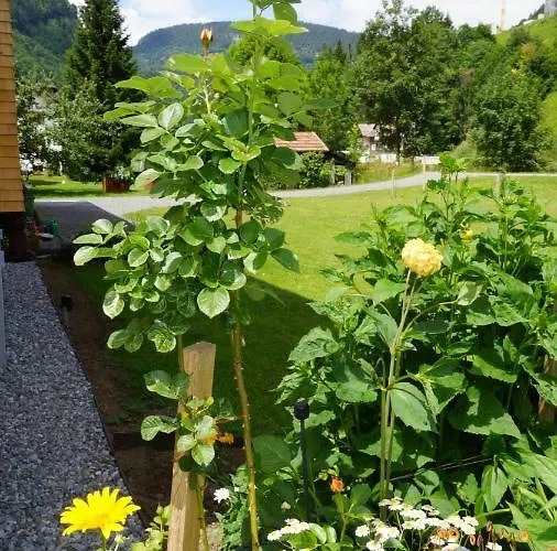 Haus Edeltraud Mellau