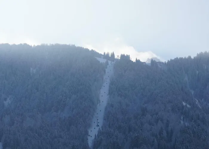 Haus Edeltraud Mellau