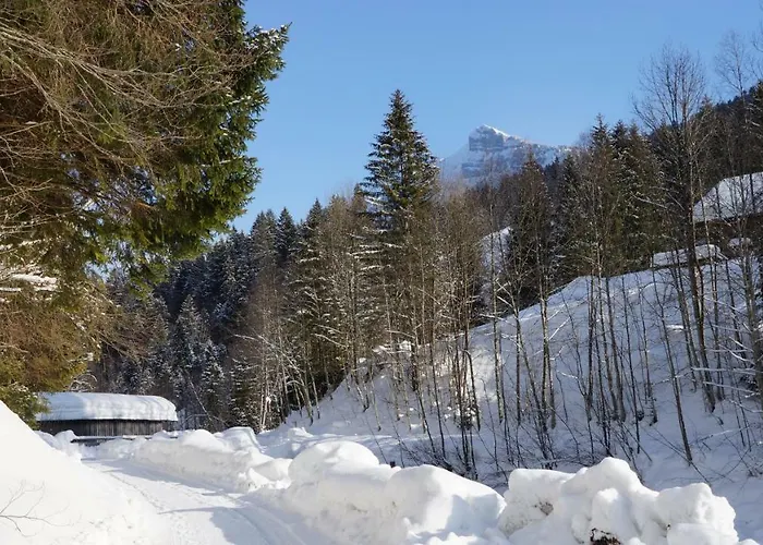 Haus Edeltraud Διαμέρισμα Mellau